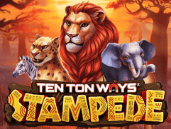 Ten Ton Ways Stampede game cover
